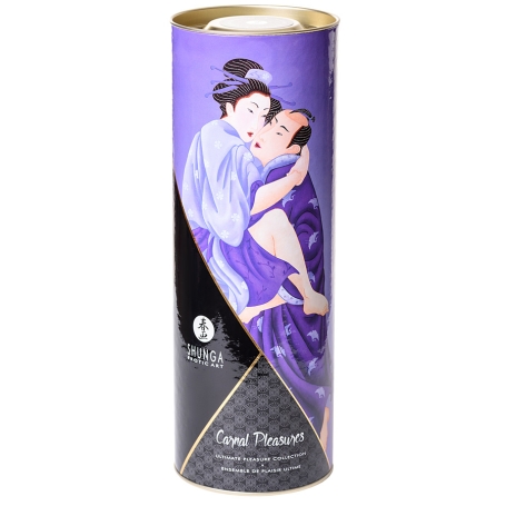 Подарочный набор Shunga Carnal Pleasures